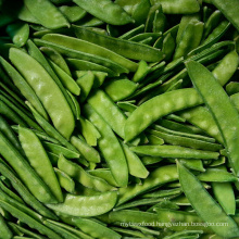 China Frozen Vegetable IQF Snow Peas, Pea Pods